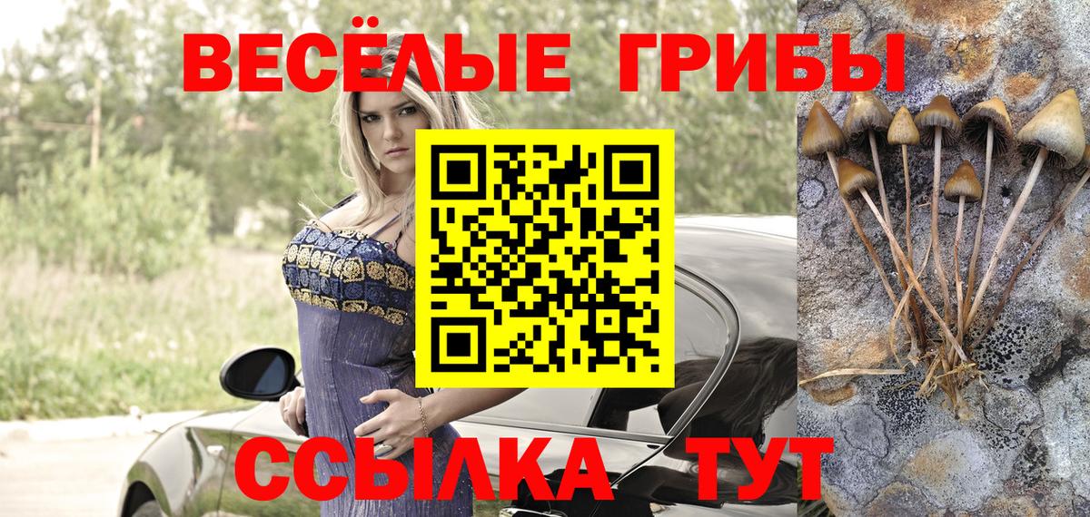 где можно купить наркотик  Вход с VPN  Кисловодск  Галлюциногенные грибы ЛСД 