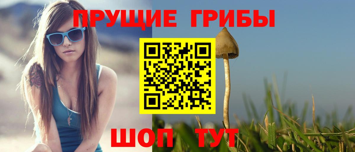 Псилоцибиновые грибы прущие грибы Кисловодск